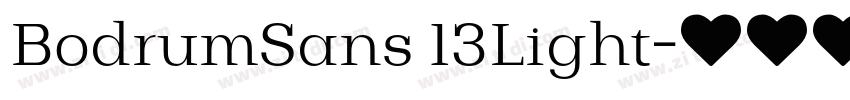 BodrumSans 13Light字体转换 BodrumSans 13Light字体转换